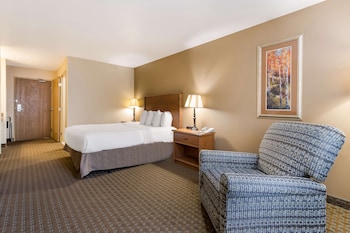 Standard Room, 1 Queen Bed, Accessible, Refrigerator & Microwave