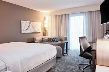 Room, 1 King Bed with Sofa bed