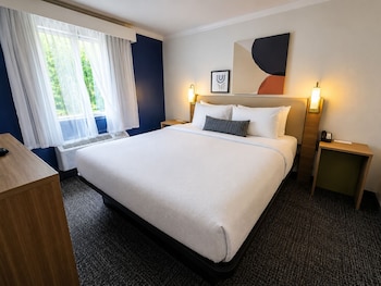 Room, 1 King Bed