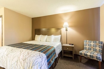 Room, 1 Queen Bed, Non Smoking