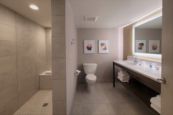 Standard Room, 1 King Bed, Non Smoking (Living Room;Shower Only;with Sofabed)