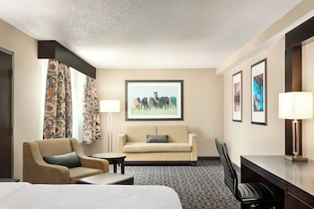 Suite, 1 King Bed