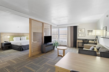 One King Suite