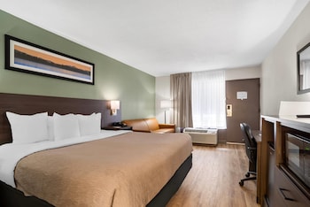 Standard Room, 1 King Bed, Non Smoking
