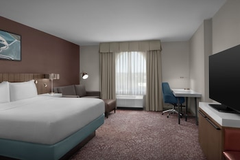 Room, 1 King Bed with Sofa bed