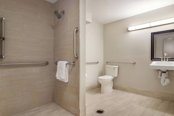 Standard Room, 1 King Bed, Accessible (Smoke Free, Roll-In Shower)