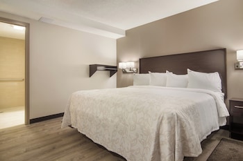 Standard Room, 1 King Bed, Accessible (Smoke Free)