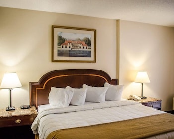 Suite, 1 King Bed