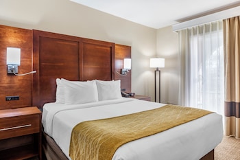 Single Room, 1 Queen Bed, Non Smoking