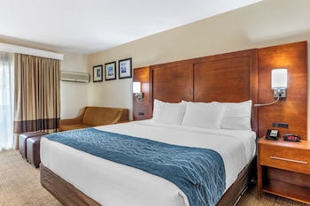 Junior Studio Suite, 1 King Bed with Sofa bed, Non Smoking, Jetted Tub
