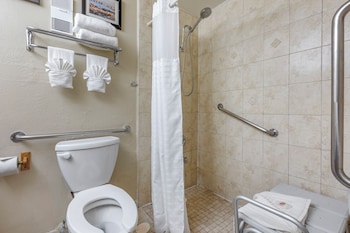 Deluxe Single Room, 1 King Bed, Roll-in Shower, Non Smoking