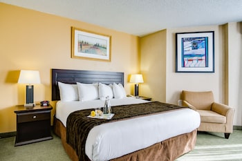 Suite, 1 Bedroom