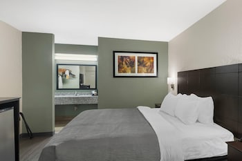 1 King Bed, Non Smoking