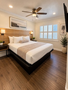 Family Studio Suite, Kitchen