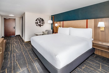 Standard Room, 1 King Bed, Accessible Bathtub (Mobility Accessible)