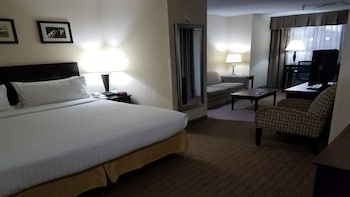 Suite, 1 King Bed with Sofa bed