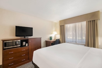 Room, 1 King Bed, Non Smoking, Jetted Tub