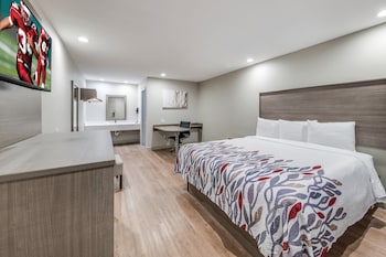 Superior Room, 1 King Bed, Non Smoking