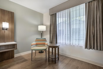 Standard Room, 1 King Bed, Non Smoking, Refrigerator & Microwave