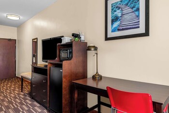 Standard Room, 1 King Bed, Non Smoking, Refrigerator & Microwave