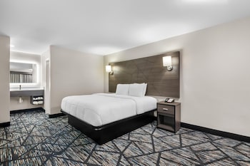 Room, 1 King Bed, Smoking
