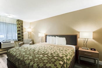 Room, 1 King Bed