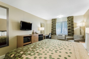 Room, 1 King Bed