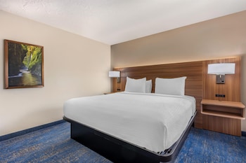 Suite, 1 King Bed, Non Smoking, Refrigerator & Microwave
