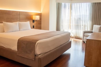 Executive Suite, 1 King Bed with Sofa bed