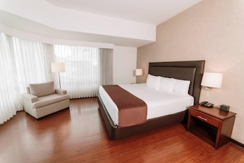 Suite, 1 King Bed with Sofa bed