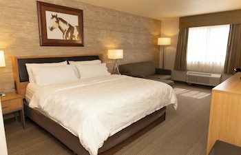 Standard Room, 1 King Bed, Accessible (Mobility, Accessible Tub)