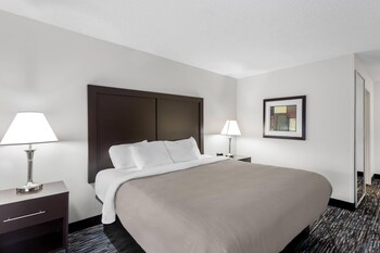 Room, 1 King Bed, Non Smoking