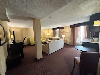Suite, 1 King Bed with Sofa bed, Non Smoking