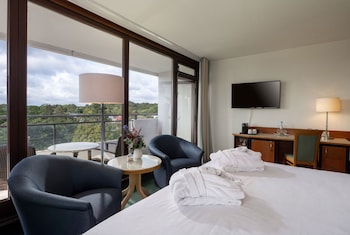 Superior Plus Double Room, Park View