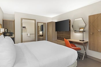 Room, 1 King Bed, Roll-in Shower, Pets Allowed (Mobility Accessible)