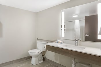 Standard Room, 1 King Bed, Accessible Bathtub, Pets Allowed (Mobility)