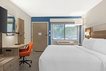Room, 1 King Bed, Roll-in Shower, Pets Allowed (Mobility Accessible)