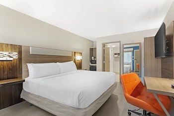 Room, 1 King Bed, Roll-in Shower, Pets Allowed (Mobility Accessible)