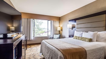 Standard Single Room, 1 King Bed, City View