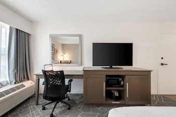 Room, 1 King Bed, Accessible (Mobility and Hearing)