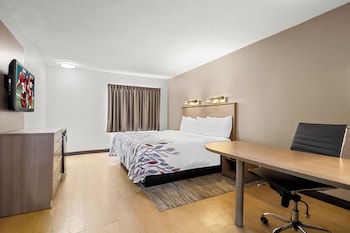 Superior Room, 1 King Bed, Non Smoking