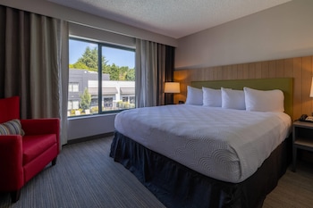 Suite, 1 Bedroom, Non Smoking