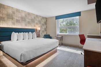 Standard Room, 1 Queen Bed, Non Smoking, Refrigerator