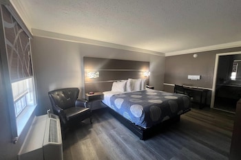 Deluxe Suite, 1 King Bed, Non Smoking