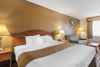 Standard Room, 1 King Bed with Sofa bed, Smoking