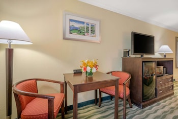 Suite, 1 King Bed, Non Smoking (Larger Room;with Sofabed)
