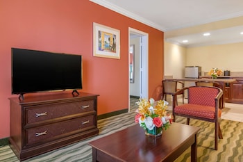 Standard Room, 1 King Bed, Non Smoking, Refrigerator & Microwave (Shower Only;with Sofabed)