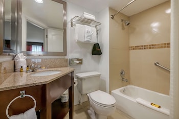 Suite, 1 King Bed, Non Smoking (Larger Room;with Sofabed)