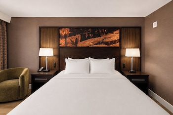 Executive Room, Non Smoking, Club Lounge Access (Concierge Level)