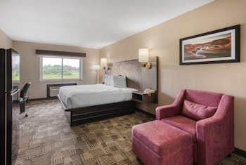 Standard Room, 1 King Bed, Non Smoking, Kitchenette